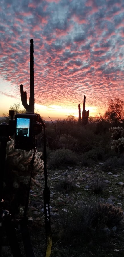 McDowell Sonoran Preserve&nbsp;Sunset