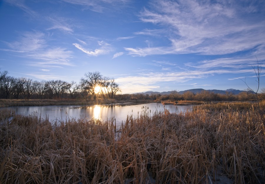 Fountain Creek Regional&nbsp;Park
