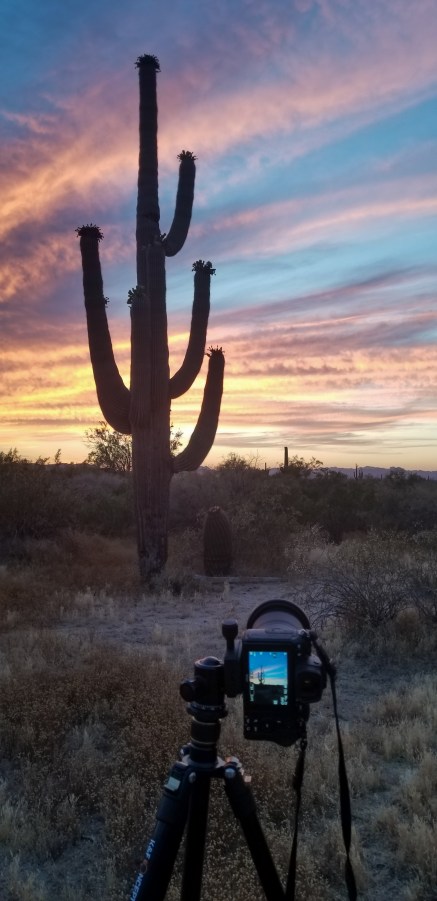 Desert Sunset