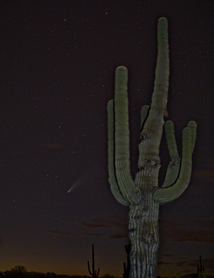 Neowise in Arizona