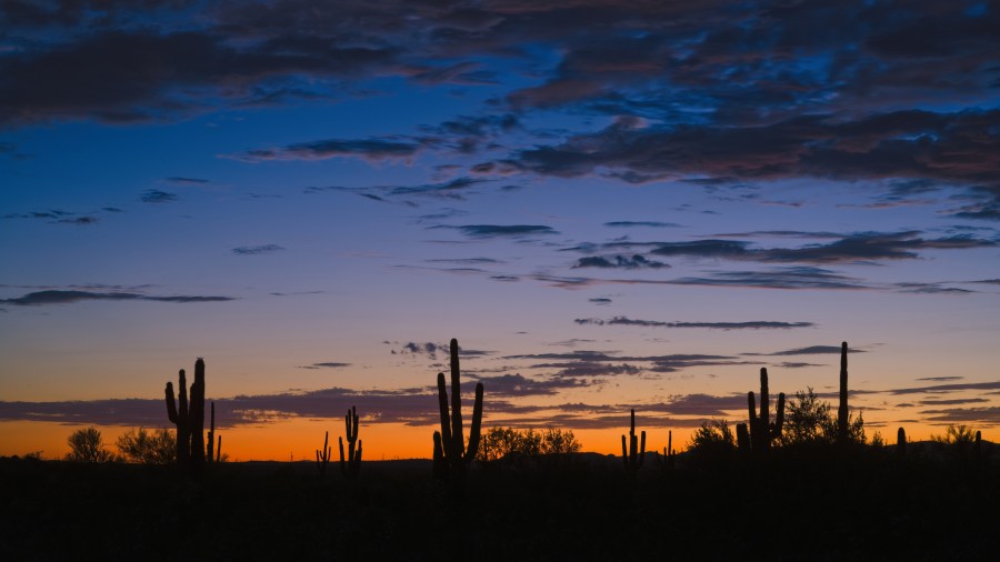 Fading Light in the&nbsp;Desert